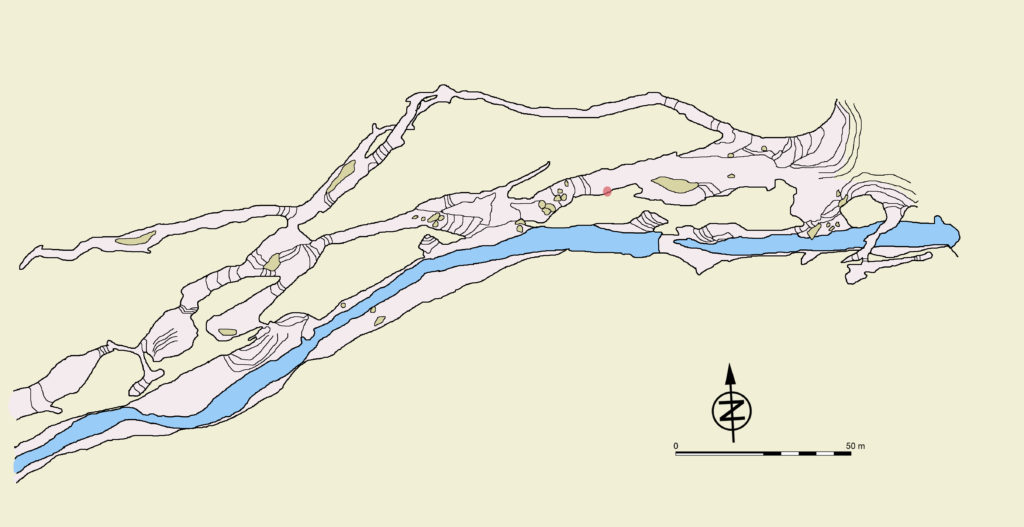 lastrilla-planta_cueva